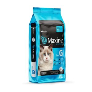 Maxine gato adulto
