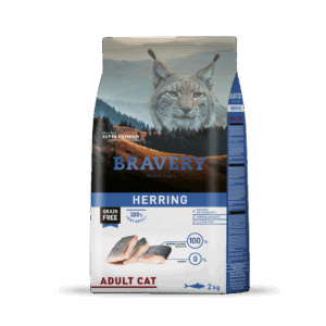 Bravery Gato Adulto Herring