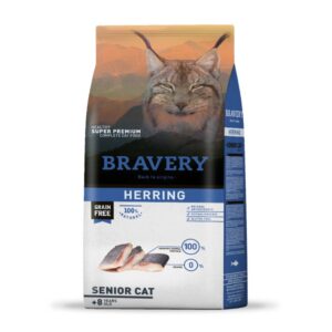 Bravery Gato Senior