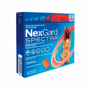 Nexgard Spectra 30.1 a 60 kg - 1 comprimido