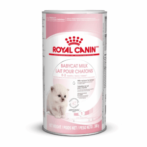 Royal Canin Babycat Milk - Leche para Gatitos