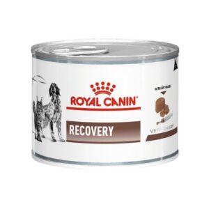 Lata Recovery Royal Canin