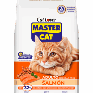 master cat adulto