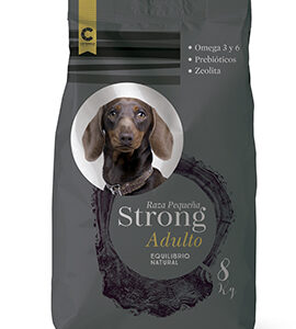 Strong adulto raza pequeña