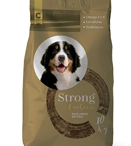 strong cachorro