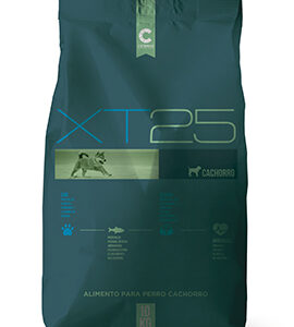 xt 25 cachorro