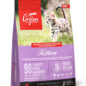 Orijen Kitten