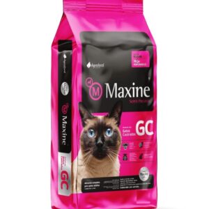 Maxine Gato Adulto Castrado