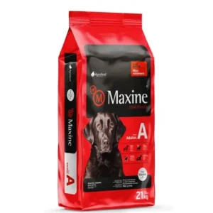 Maxine Perro Adulto