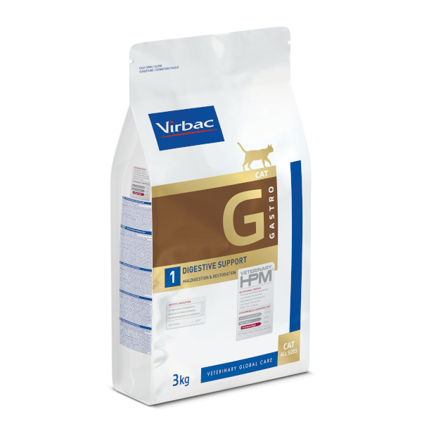 HPM gastro gato
